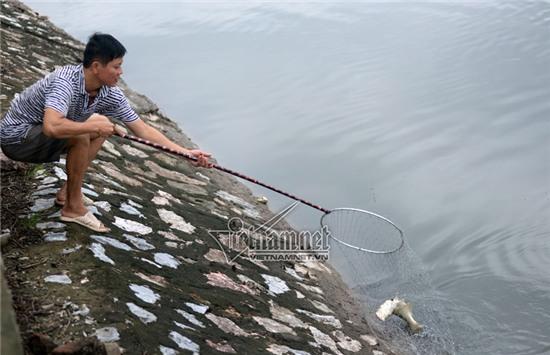 bão số 3, câu cá, sông Tô Lịch