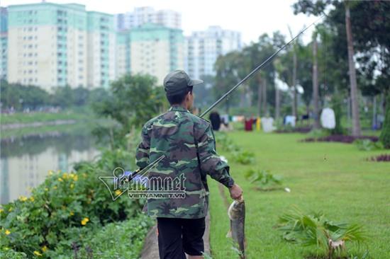 bão số 3, câu cá, sông Tô Lịch