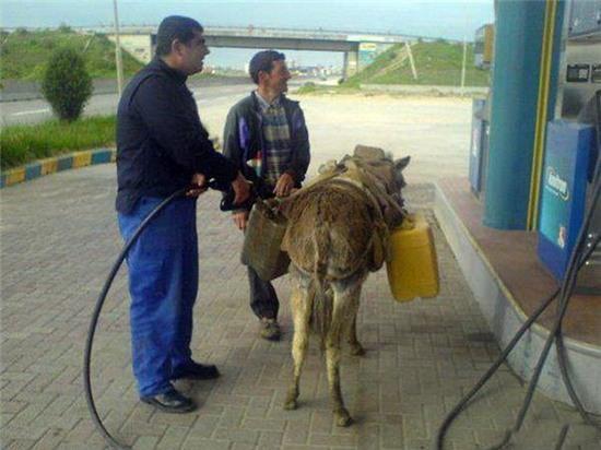 on gioi! cac "thanh cuoi" day roi hinh anh 4