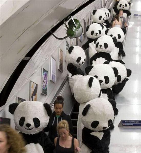 on gioi! cac "thanh cuoi" day roi hinh anh 7