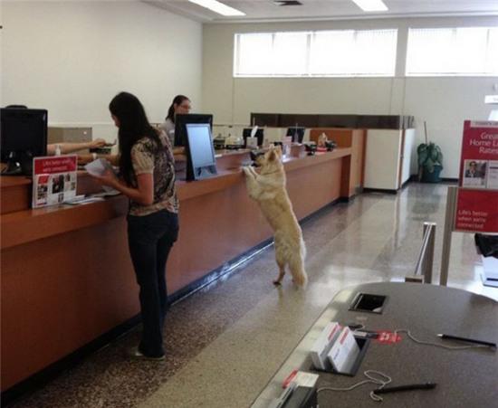 on gioi! cac "thanh cuoi" day roi hinh anh 9