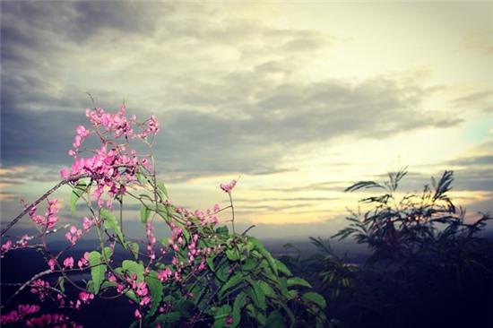 Ve tham vung dat '7 nui' An Giang hinh anh 7