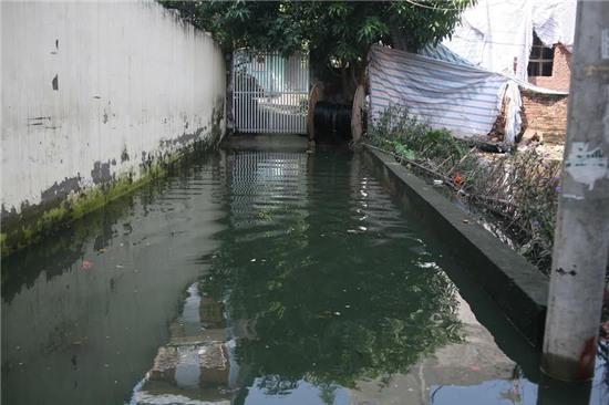 nước ngập, phường tứ liên, hà nội