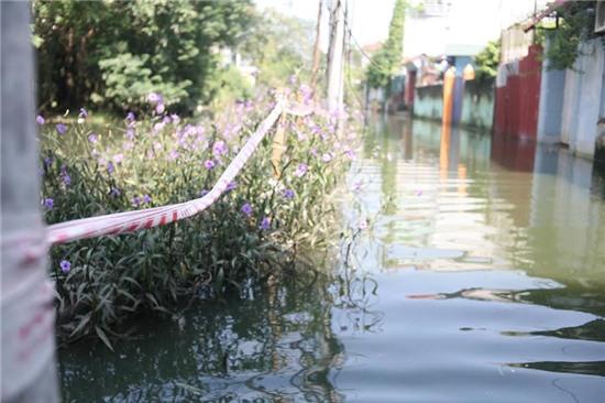 nước ngập, phường tứ liên, hà nội
