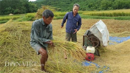 bi an thach thuc khoa hoc ve nguoi 44 nam khong ngu o quang nam hinh anh 7