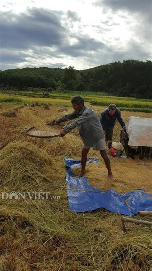bi an thach thuc khoa hoc ve nguoi 44 nam khong ngu o quang nam hinh anh 8
