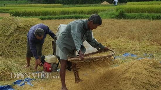 bi an thach thuc khoa hoc ve nguoi 44 nam khong ngu o quang nam hinh anh 9