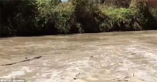 uc: 21 ca sau boi nguoc dong lu, chuc san cho dop nguoi hinh anh 1