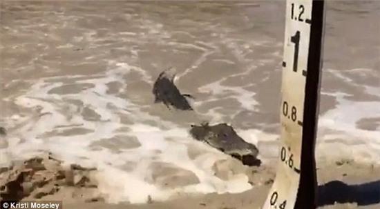 uc: 21 ca sau boi nguoc dong lu, chuc san cho dop nguoi hinh anh 2