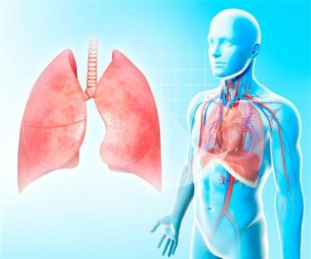 chất tẩy rửa cũng tàn phá phổi