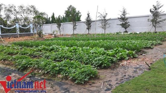 Hoài Linh, nhà thờ Tổ, nhà thờ tổ của Hoài Linh