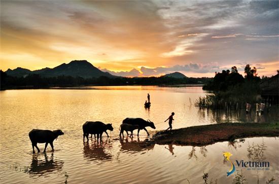 4-nhiep-anh-gia-di-khap-viet-nam-ghi-lai-canh-dep-dat-nuoc-29