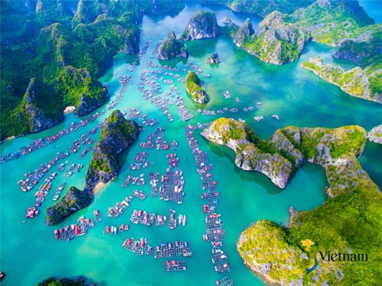 4-nhiep-anh-gia-di-khap-viet-nam-ghi-lai-canh-dep-dat-nuoc-9