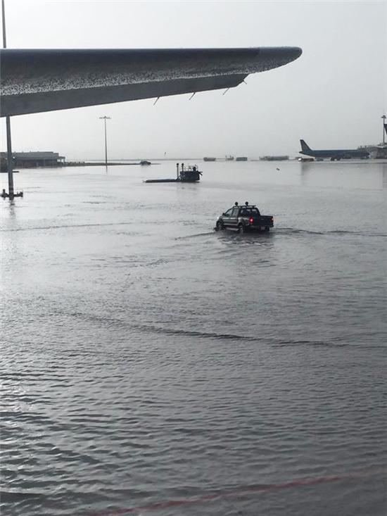 Đến bao giờ sân bay Tân Sơn Nhất hết bị ngập khi có mưa lớn? - Ảnh 2.