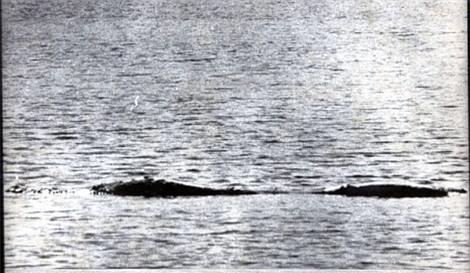 Bức ảnh của Ian giống với một trong những bức ảnh nổi tiếng nhất của quái vật Loch Ness