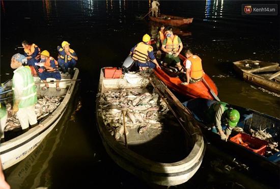 Hà Nội: Trắng đêm khắc phục hậu quả cá chết trắng ven hồ Tây - Ảnh 9.