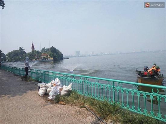 Xuất hiện đôi nam nữ đóng thùng xốp cá chết ở hồ Tây - Ảnh 4.