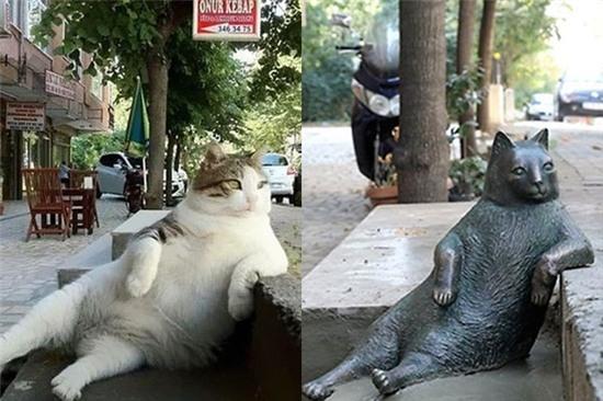 Chú mèo nổi tiếng Thổ Nhĩ Kỳ được tạc tượng tại chỗ ngồi ưa thích sau khi qua đời - Ảnh 1.