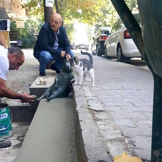 Chú mèo nổi tiếng Thổ Nhĩ Kỳ được tạc tượng tại chỗ ngồi ưa thích sau khi qua đời - Ảnh 5.
