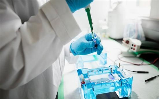 bo-nhung-khong-pha-cha-ruot