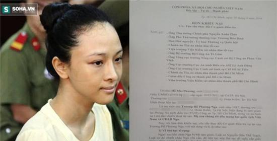 Mẹ hoa hậu Phương Nga yêu cầu thay đổi cơ quan điều tra - Ảnh 1.