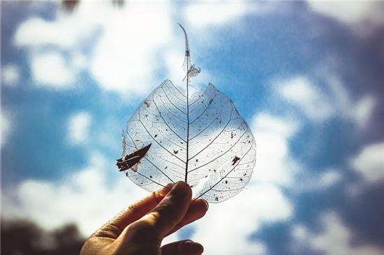 Trong tình yêu, đau buồn nhất là nhìn người mình yêu buồn vì một người khác...