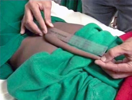 Cái đuôi dài tới 20 cm, được cho là dài nhất từ trước đến nay