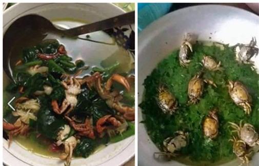 Nhìn nồi trứng kho đậu của con dâu, mẹ chồng không dám đụng đũa - Ảnh 2.