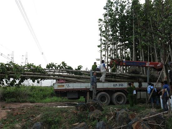 Chiếc xe cẩu - thủ phạm gây ra sự cố mất điện hy hữu. Ảnh P.V