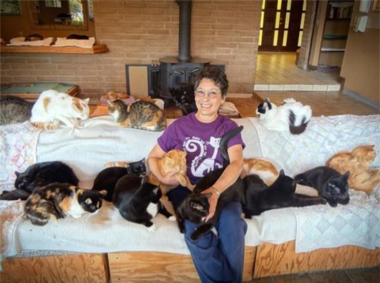 Người phụ nữ làm bạn với 1.000 chú mèo 1