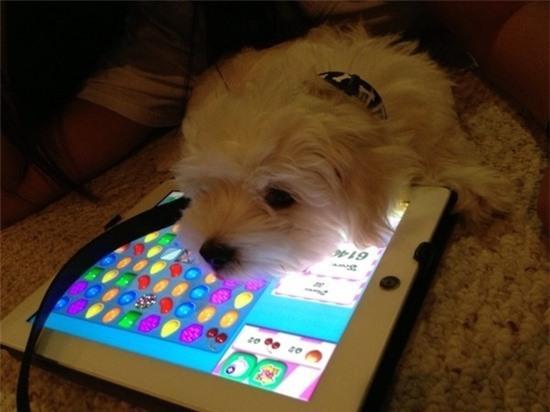 14 biểu hiện của