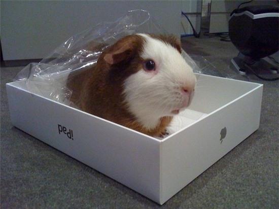 14 biểu hiện của