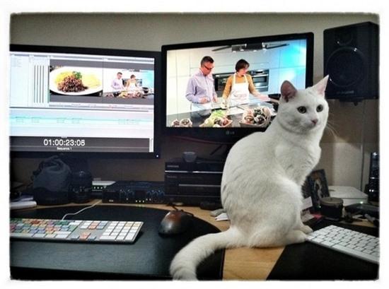 14 biểu hiện của