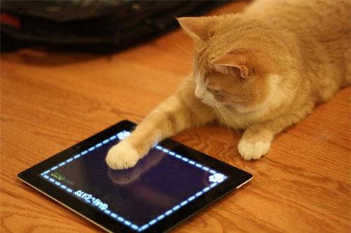 14 biểu hiện của