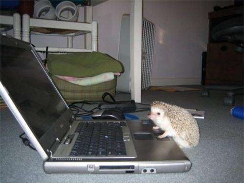 14 biểu hiện của