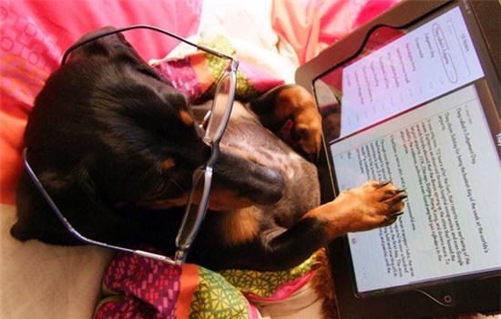 14 biểu hiện của