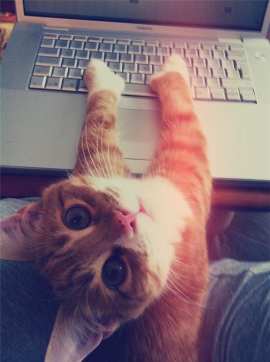 14 biểu hiện của