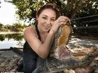 Cô gái yêu nghề... vật lộn với cá sấu
