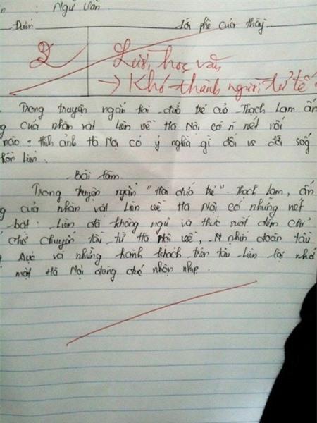 Bài văn 2 điểm nhận lời phê lạ của giáo viên 1