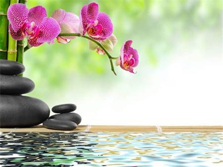 Thương người ở lại...