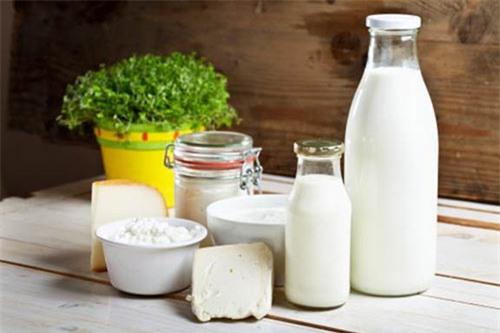 Hàm lượng Protein trong sữa chua – Yếu tố đang bị bỏ quên - 2