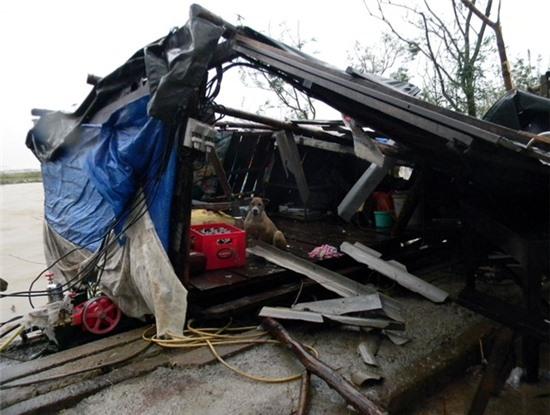 Hình ảnh tan hoang sau bão ở Lệ Thủy, Quảng Bình. Ảnh Báo Quảng Bình.