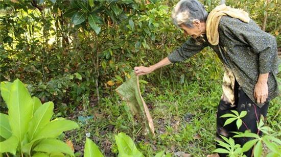 Lời kể rợn người của bà mẹ cùng quẫn đem con đi chôn sống | Người mẹ, Cùng quẫn, Nghèo khổ, Sinh con, Chôn con, Hối hận