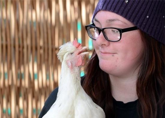 Bà mẹ cứu sống một con gà mù - thú cưng của cô con gái mắc bệnh tự kỷ 1