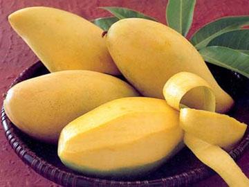 12 chòm sao là loại hoa quả nào?