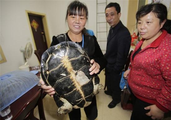 Tai nạn ngớ ngẩn vì... tự tử bất thành 5