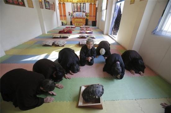 Tai nạn ngớ ngẩn vì... tự tử bất thành 6