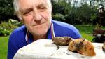 Kì lạ loài ốc sên ăn thịt ở Anh