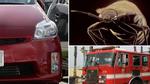 Suýt chết cháy trong xe vì đổ rượu giết… bọ rệp