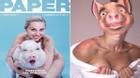 Miley Cyrus ôm lợn, khỏa thân trên bìa tạp chí